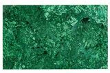 Wide Malachite Jewelry Box - DR Congo #317981-2